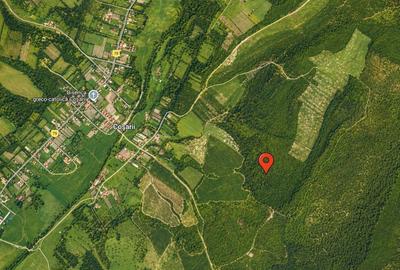 Teren agricol extravilan de 196000 mp, în Brestovăț - 5