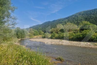 Teren Plaiul Foii, vedere spre muntii Bucegi si apa Barsa 10 - 4