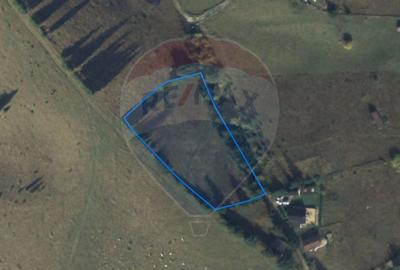 Priveliste Bugeci, Magura, Piatra Craiului | PUZ aprobat Pensiune - 8