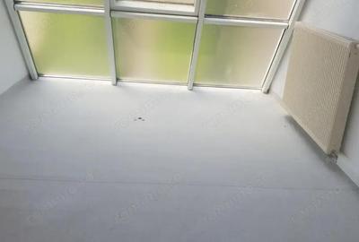 Ofer la inchiriere SAD zona centrala Balcescu-Rusu Sireanu, P+1+M, 200 mp utili, 10 camere + 4 bai - 17