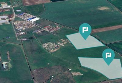 Teren intravilan de 29,970mp Sacalaz - 16