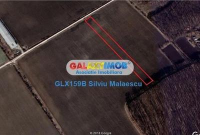 Buftea 8.601 Mp str. Aviatiei - 5