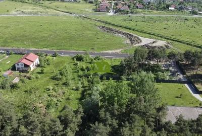 Teren de 1380 mp, în Goranu - 4