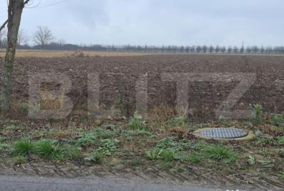 Teren de 2500 mp, în Sud