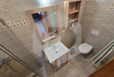 Casa individuala 4 camere teren 3825 mp Cisnadioara - 24