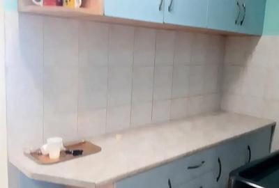 Apartament cu 2 camere în Buziașului - 1