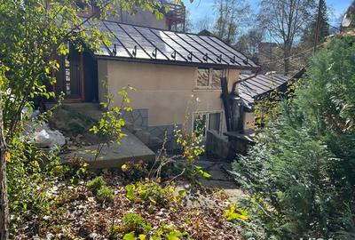 Busteni casa curte - super ocazie - 4