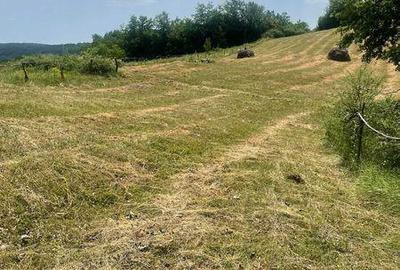 Teren de 7197 mp, în Central - 5