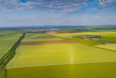 Teren agricol extravilan de 44900 mp, în Aradul Nou - 21