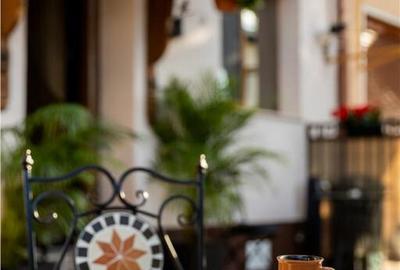 Ultracentral- vila lux- amenajata Pensiune- afacere la cheie - 7