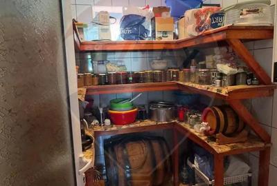 De vanzare 2 Corpuri de Casa si Teren 1388 mp in Geamana, Bradu - 3