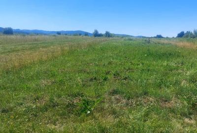 Teren oportunitate investitie 1900mp,intrare in Poplaca - 6