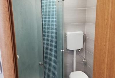 Garsonieră decomandată, mobilată în Dristor - 7