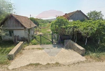 Casa de vanzare cu teren de 3000mp, sat Pagaia, Bihor - 1