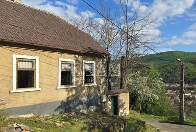 Casă cu Teren 540 Mp în Muncitoresc - 6