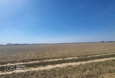 Teren Mosnita Noua, 11600 mp - 2