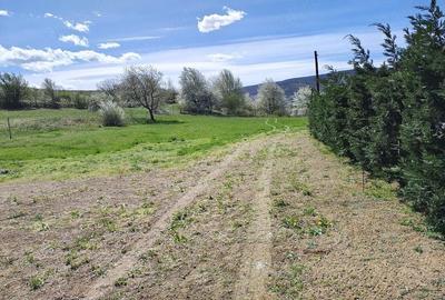 Teren de 3100 mp, în Moldovenești - 3