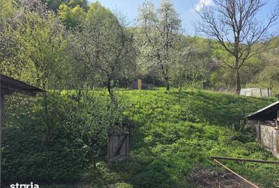 Casă cu 3 camere cu Teren 3748 Mp în Nădrag - 4