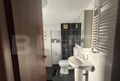 Apartament cu 2 camere semidecomandat, mobilat în Chibrit - 11