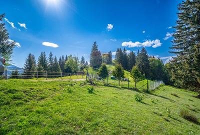 Teren intravilan cu potential turistic si de agrement, zona Trei Brazi - 18