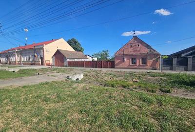 Casă cu Teren 1439 Mp în Sânpetru Mare - 3