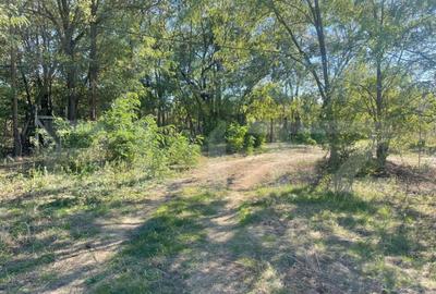 Teren Intravilan de vanzare, 900mp, Turcinesti - 4