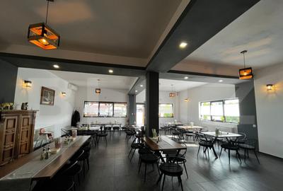 ????Afacere la cheie pe DN17, ie?irea din Beclean - 13