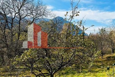 Teren Bran / Predelut cu priveliste 1840mp - 12