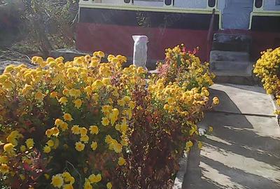 Casă în Rariștea - 3