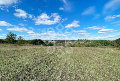 Teren intravilan 5995 mp de vanzare in Hidiselu de Sus - 1