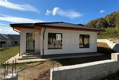 Casa Individuala Tautii Magheraus - 11