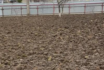 Casă în Central - 10