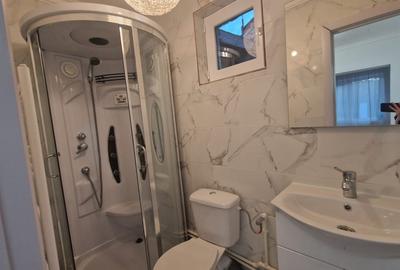 Hale industriale, 164mp, Brestei, zona cimitirului - 7