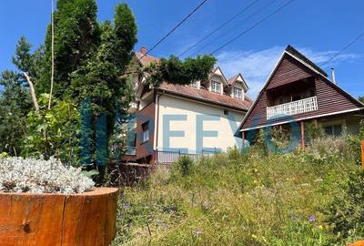 Pensiune Izvorul Muntelui, Bicaz, la 2 minute de traseele... - 2