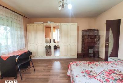 Casă cu 3 camere cu Teren 24000 Mp în Micula - 13