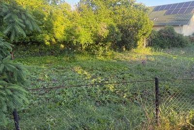 Casă cu Teren 35 Mp în Dărmănești - 5