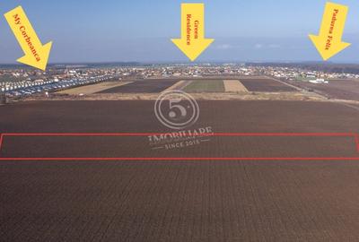 Oportunitate de investitie, teren intravilan in Tamasi-Corbeanca, 22 Euro/mp - 4
