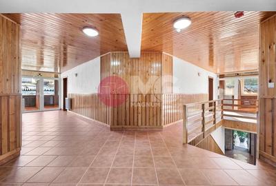 Pensiune 20 camere castelul Bran - 9