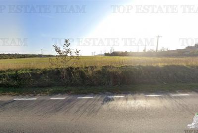 Teren extravilan - Tulcea - comuna Cernea - vanzare - 2