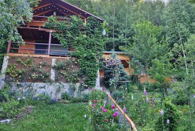 Casă cu 3 camere în Muntele Rece - 4