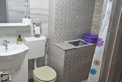 Spatiu Camere pentru cazare Calimanesti Spatiu Camere pentru cazare Calimanesti - 9