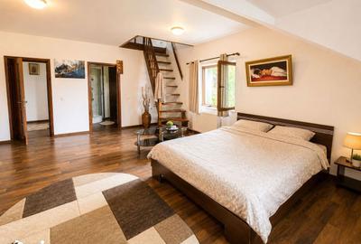 Casă cu 6 camere cu Teren 1000 Mp în Podu Roș - 10
