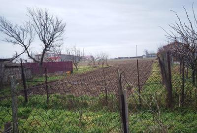 Teren de 1867 mp, în Corbu - 6