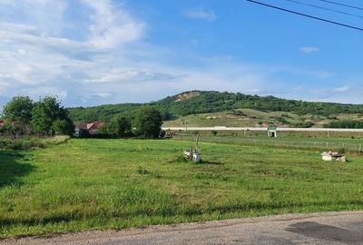 Spațiu comercial, în Miercurea Sibiului - 3