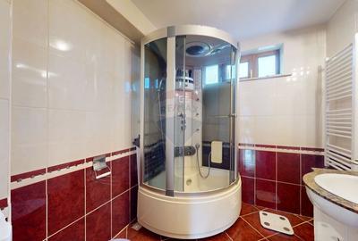 Casă cu 6 camere cu Teren 10331 Mp în Sohodol - 11