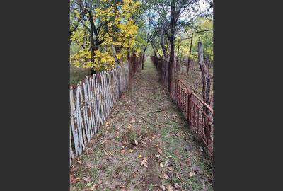 Casa Baicoi 120mp. Valea Stelii - 11