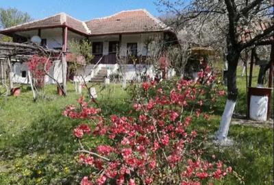 Casă cu 3 camere cu Teren 10000 Mp în Lumnic - 9