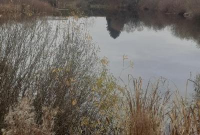 Teren extravilan6300mp langa lac - 3