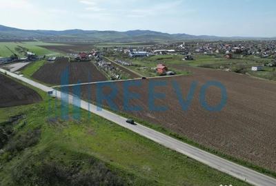 Teren de 3626 mp, în Nicolae Bălcescu - 5