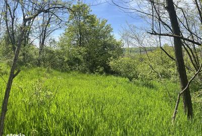 Spațiu comercial, în Hăpria - 1